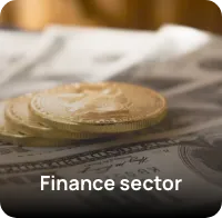 finance sector
